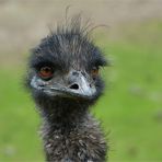 Auch bei Regen waren die Haare noch schön! ;-)