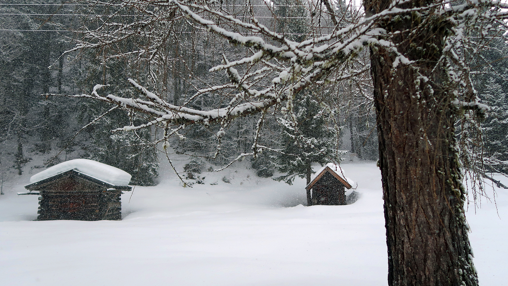 auch bei Schneefall 