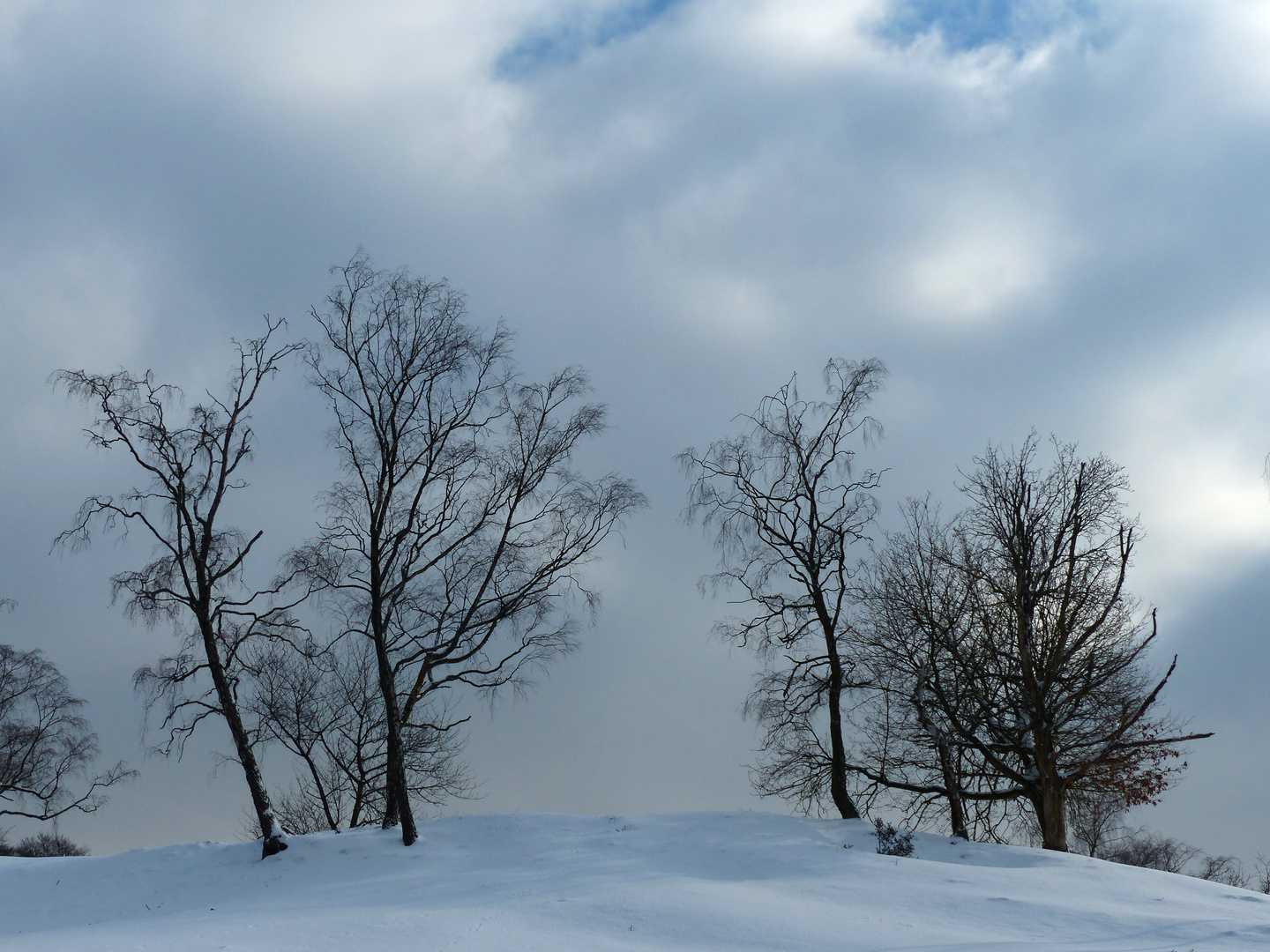 auch bei trüben Himmel