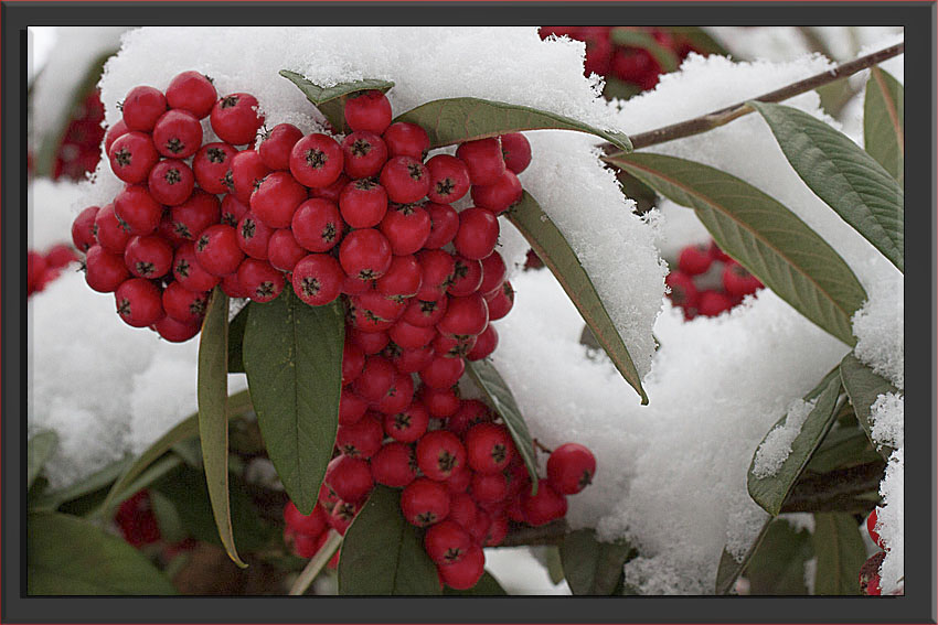 AUCH BEI UNS GAB ES MAL SCHNEE