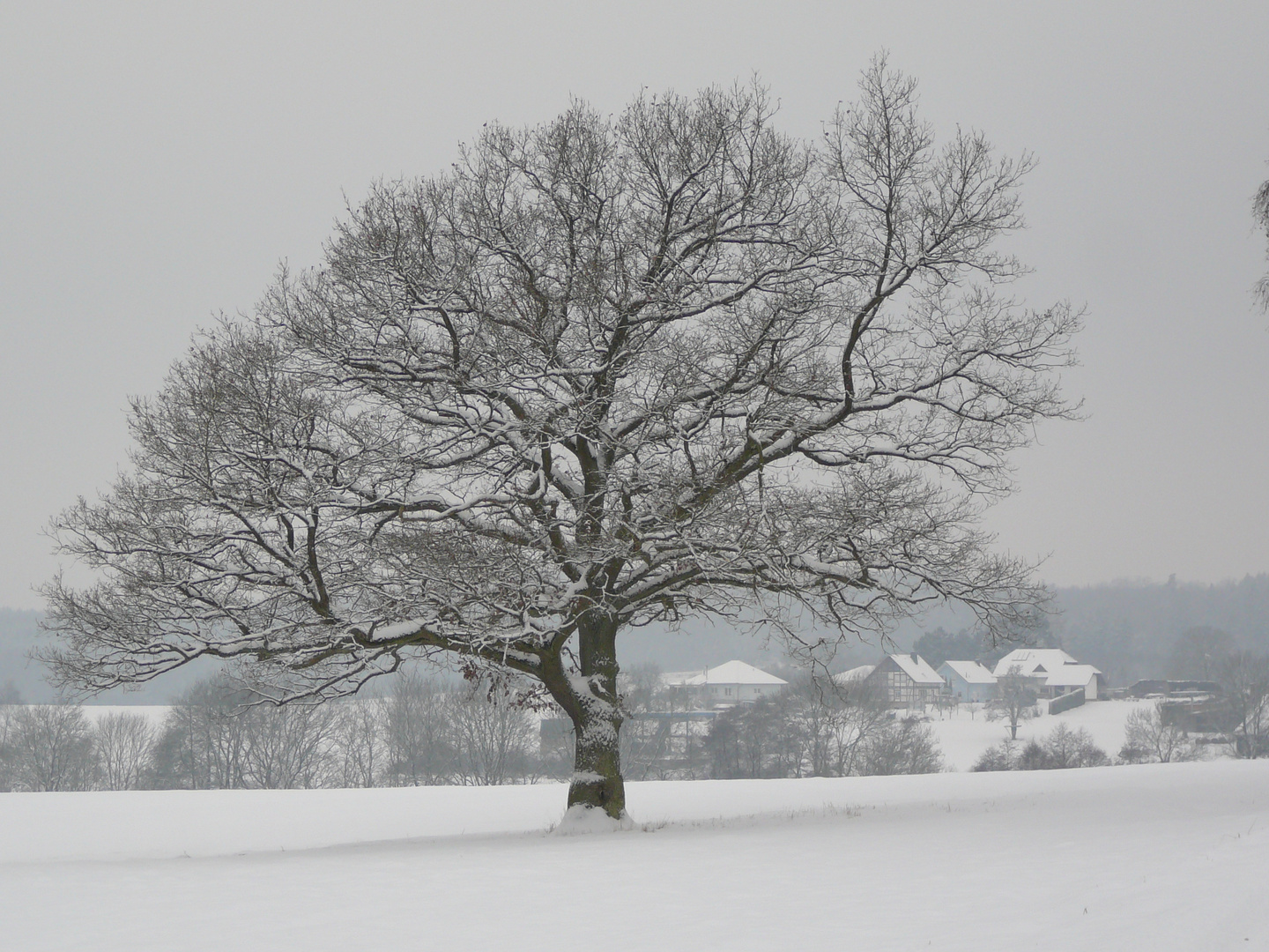 Auch bei uns gibts Schnee