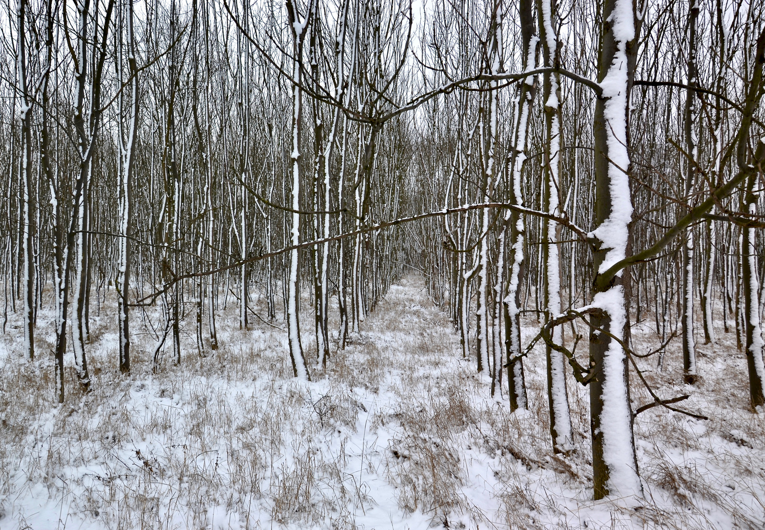 Auch bei uns hat es geschneit!