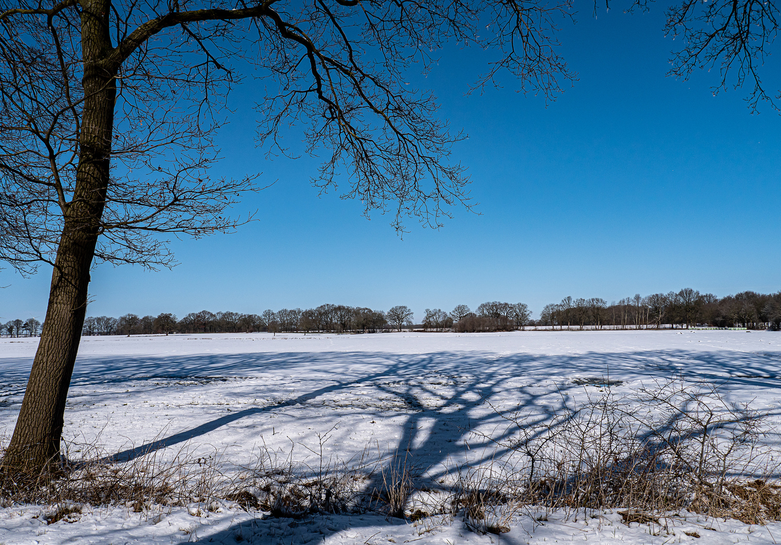 Auch bei uns im Norden gab's noch Schnee