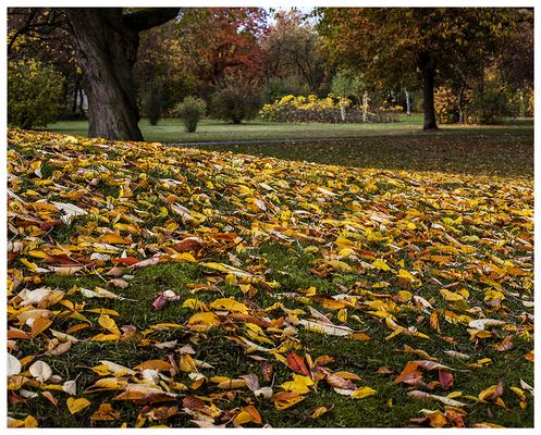 Auch bei uns ist Herbst  