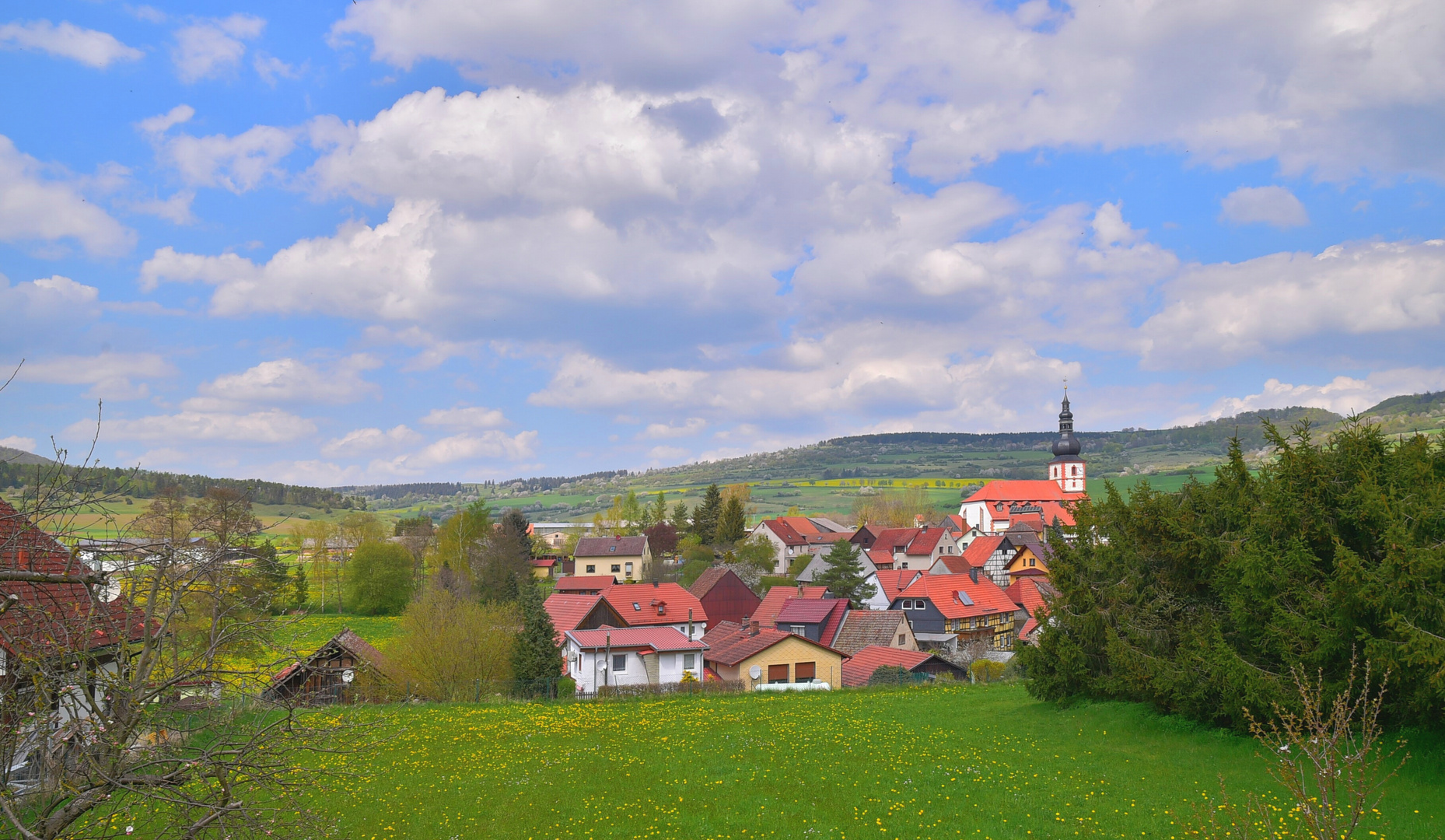 auch bei uns wird es Frühling