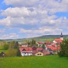 auch bei uns wird es Frühling