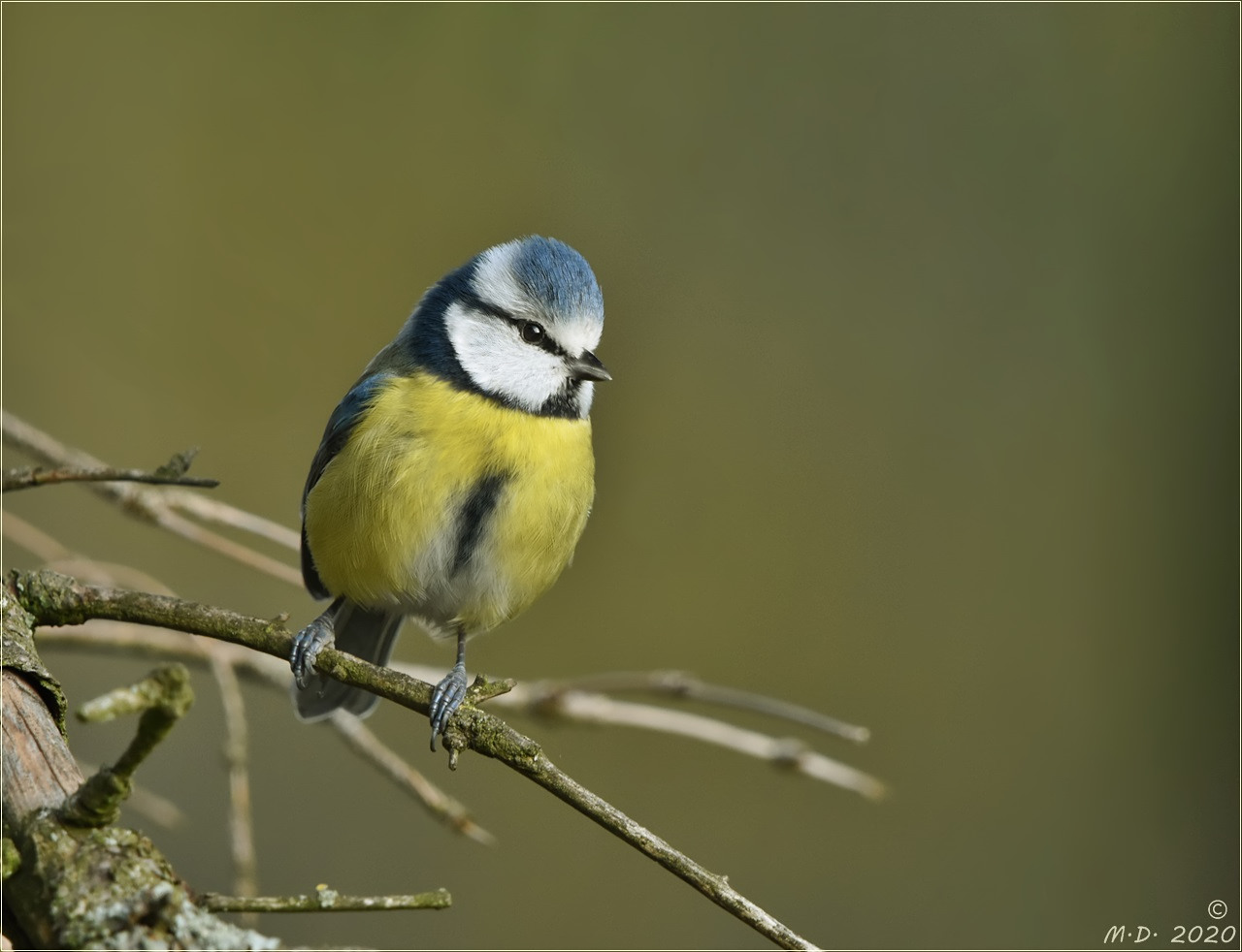 Auch Birdy zeigte sich erfreut ...