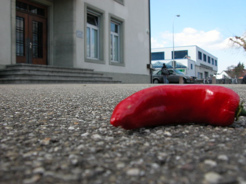 Auch Chillis müssen schlafen