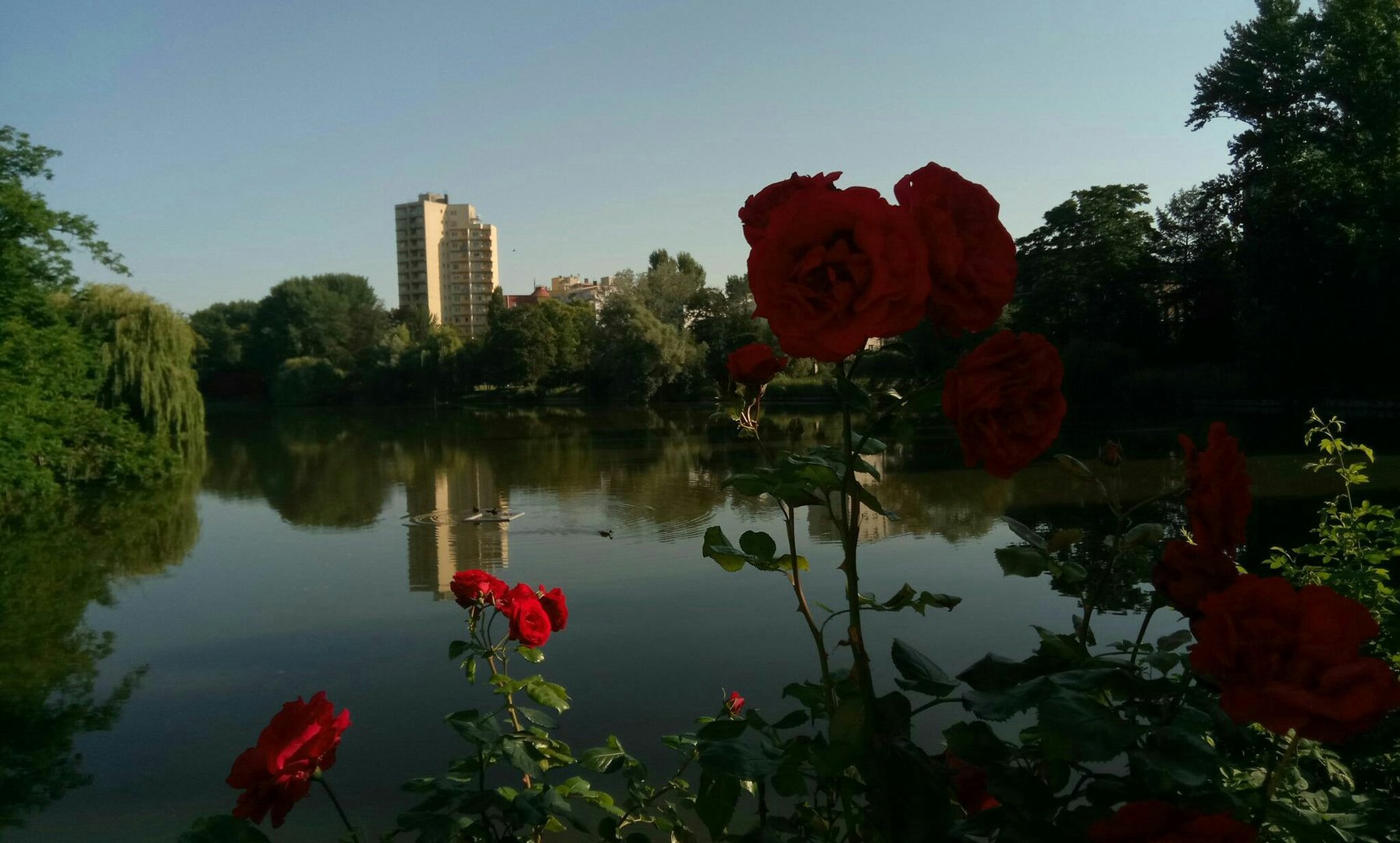 Auch das ist Berlin: der Lietzensee in Charlottenburg