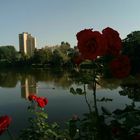 Auch das ist Berlin: der Lietzensee in Charlottenburg