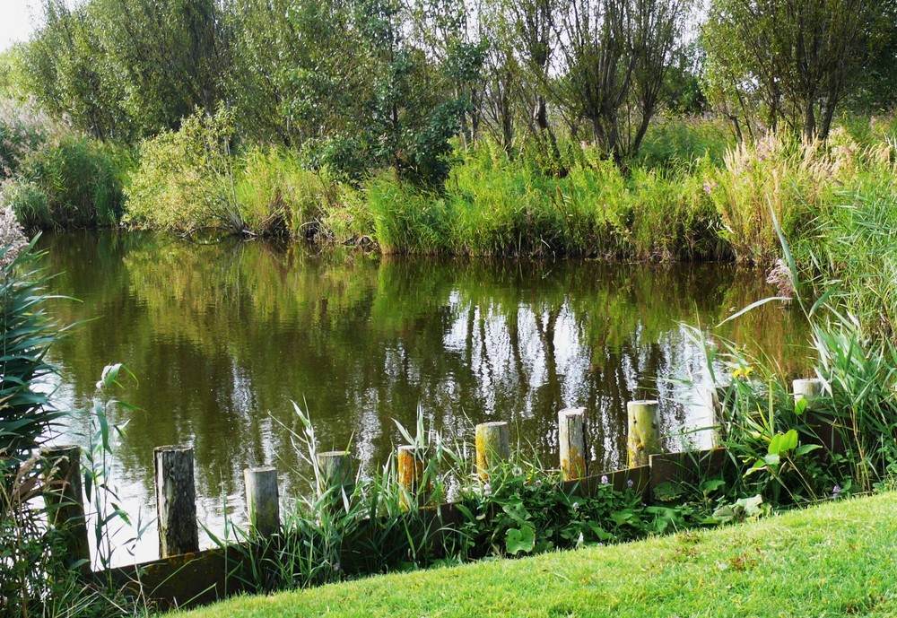 Auch das ist Borkum / Idylle am Tüskendörsee