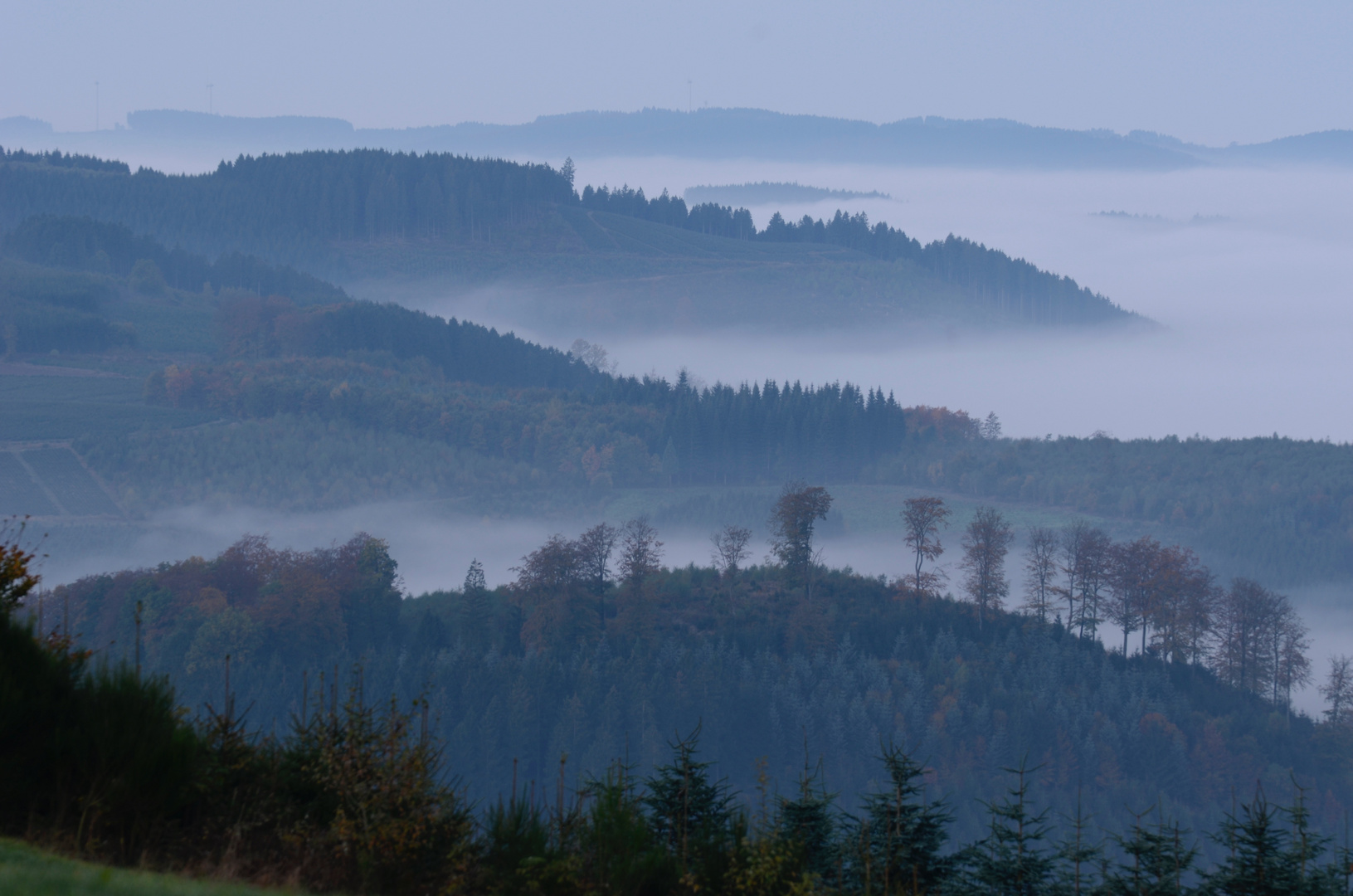 auch das ist die Morgenstimmung auf den Höhen des Sauerlandes (Schmallenberg-Mönekind)