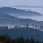 auch das ist die Morgenstimmung auf den Höhen des Sauerlandes (Schmallenberg-Mönekind)