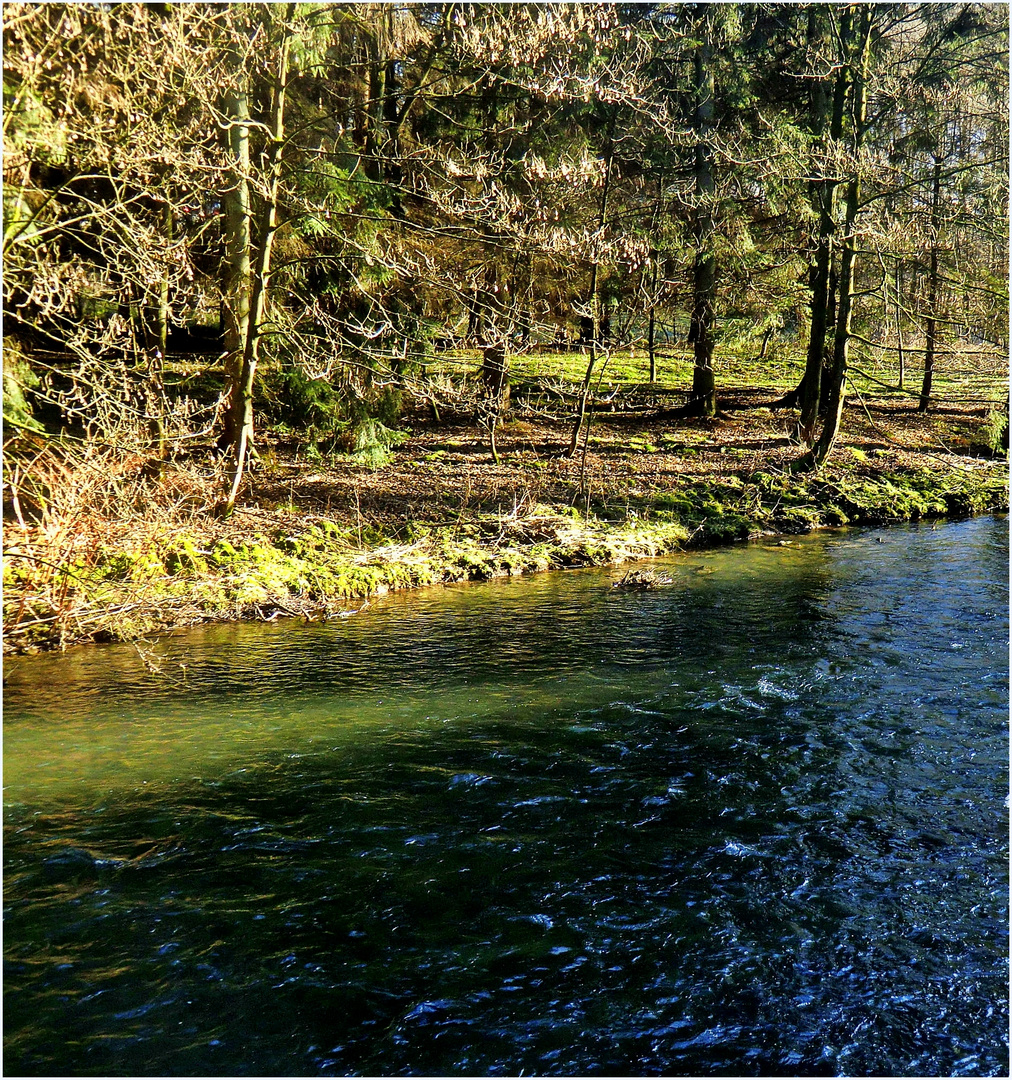 Auch das ist die Wupper -. 16.1.2012 bei Wuppertal-Beyenburg