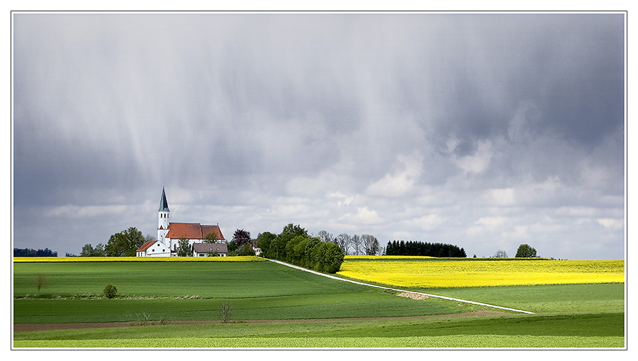 auch das ist Frühling