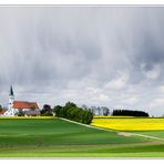 auch das ist Frühling