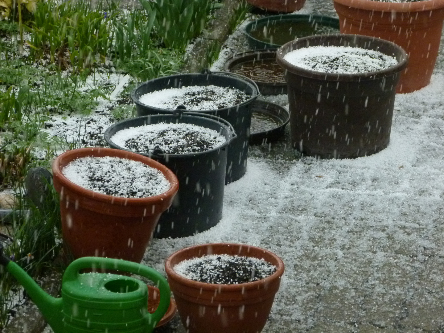 Auch das ist Frühling!