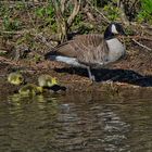 Auch das ist Frühling