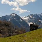 Auch das ist Frühling