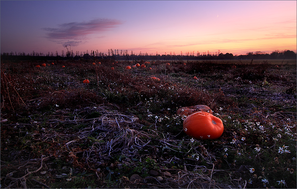 Auch das ist Herbst