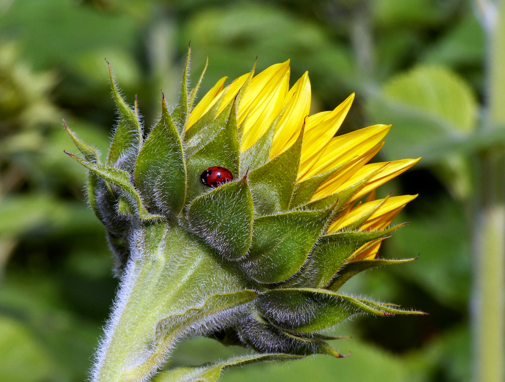 Auch das ist Herbst