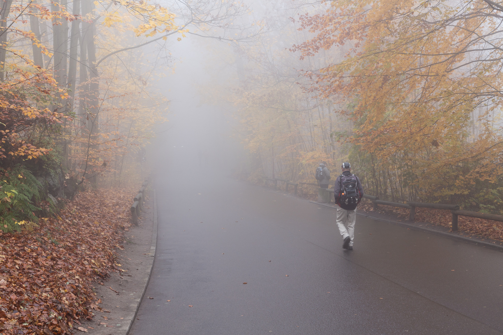 Auch das ist Herbst