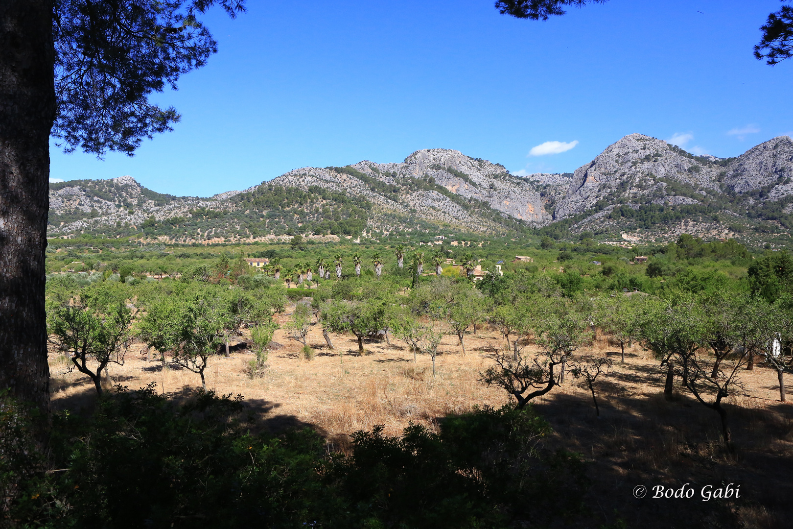 Auch das ist Mallorca