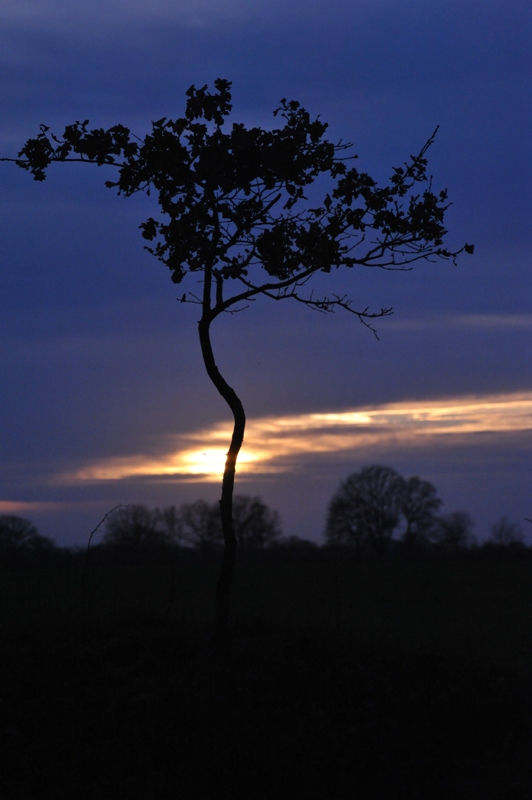 Auch das ist November