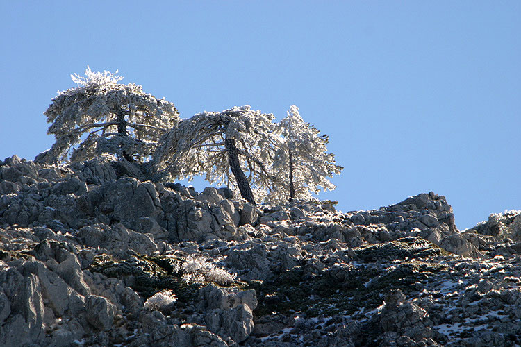 Auch das ist Spanien im Winter