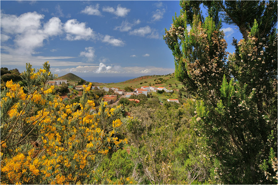 Auch das ist Teneriffa : Wandern, - stundenlang, - ohne einer Menschenseele zu begnen