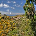 Auch das ist Teneriffa : Wandern, - stundenlang, - ohne einer Menschenseele zu begnen