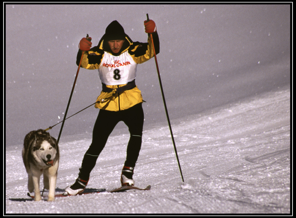 Auch das ist Wintersport