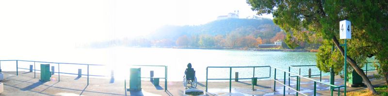 Auch das unglücklichste Leben hat seine Sonnenstunden.