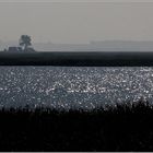 Auch der Bodden ...