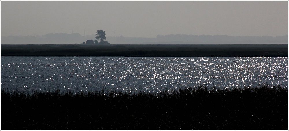 Auch der Bodden ...