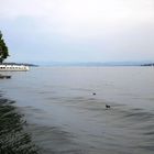 auch der Bodensee