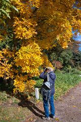 Auch der Herbst