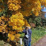 Auch der Herbst