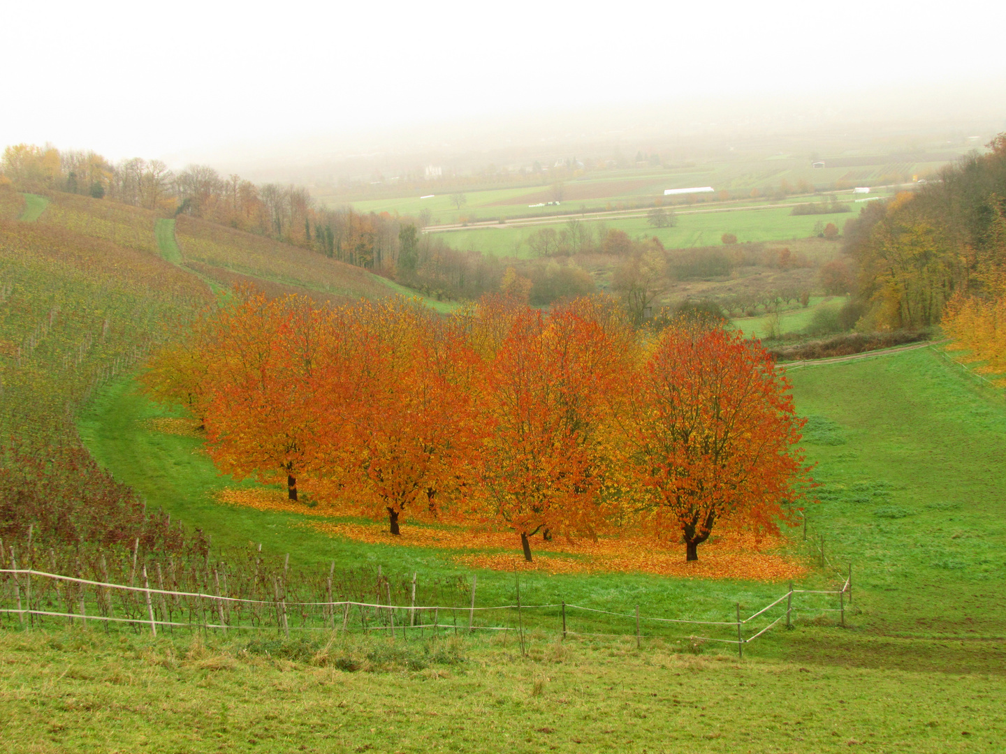 auch der herbst birgt überaschungen