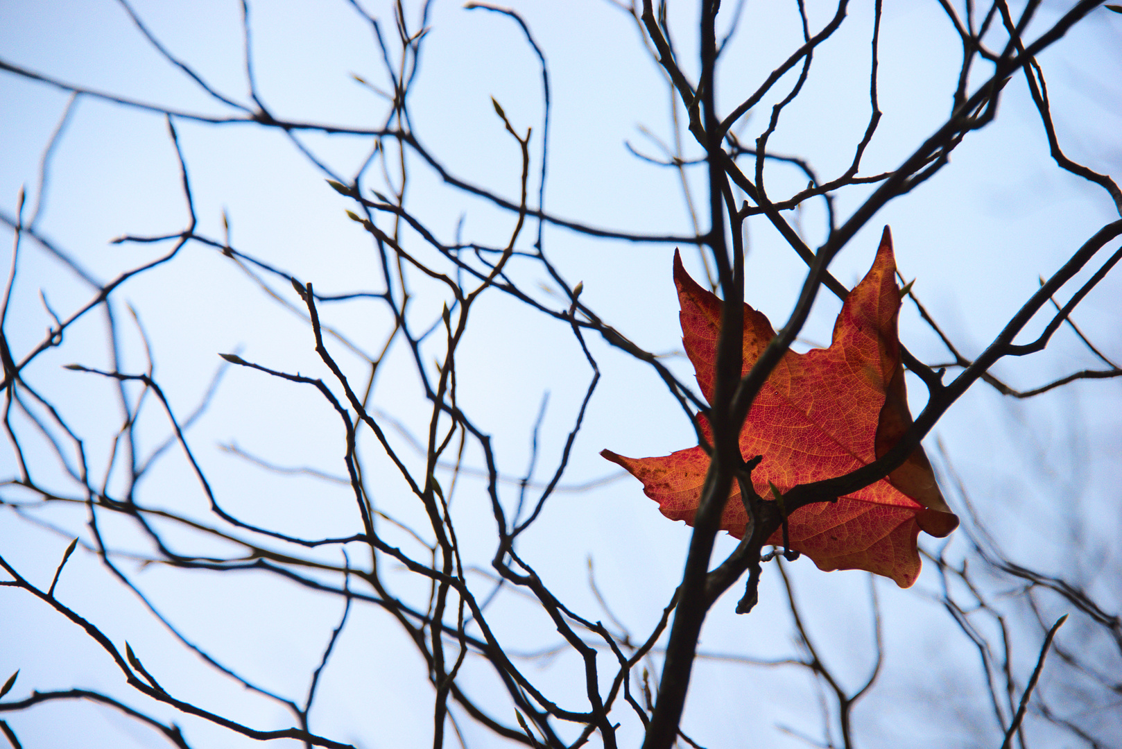 Auch der Herbst hat ein Ende