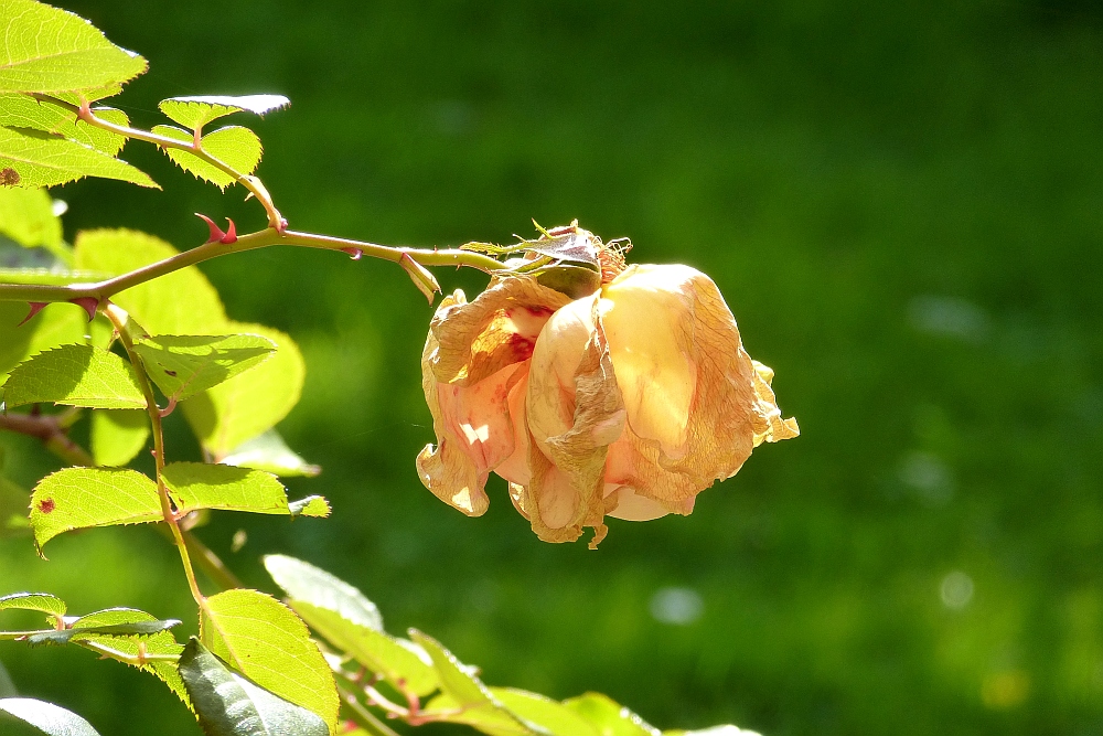 Auch der Herbst hat noch Sonnenstunden