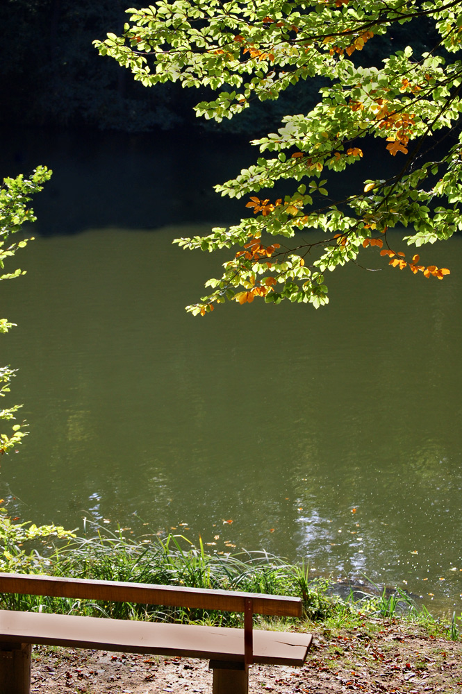 Auch der Herbst hat schöne Seiten