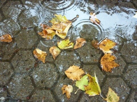 Auch der Herbst hat schöne Seiten