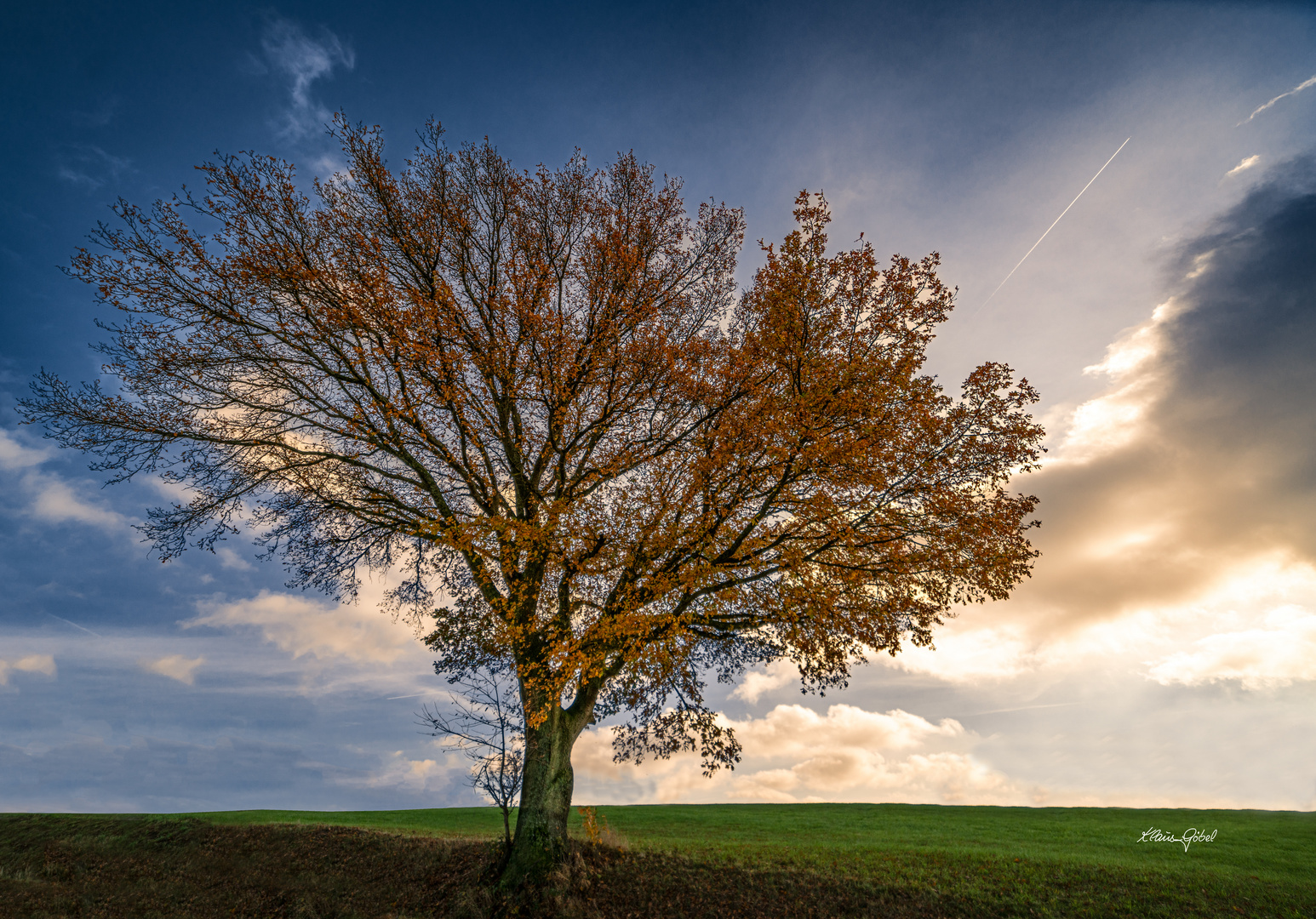 Auch der Herbst hat schöne Tage...