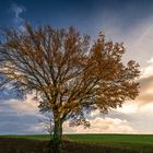 Auch der Herbst hat schöne Tage...