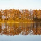 Auch der Herbst hat seine schönen Seiten