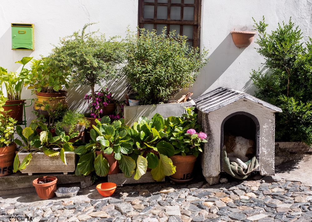 Auch der Hund soll es schön haben ;-)