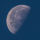 Auch der Mond geht mit 600 mm Brennweite