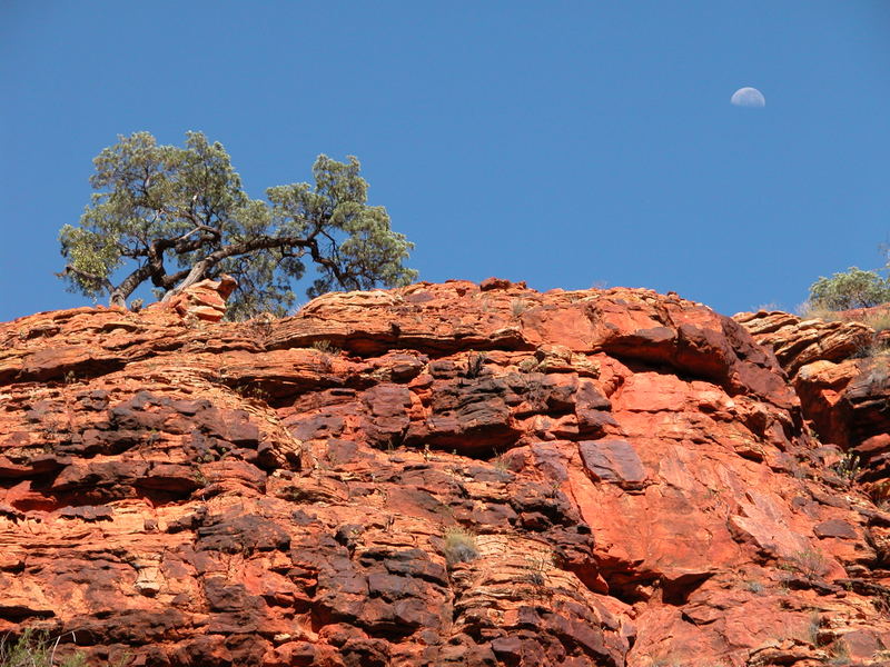 Auch der Mond steht Kopf in Australien !