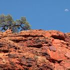 Auch der Mond steht Kopf in Australien !